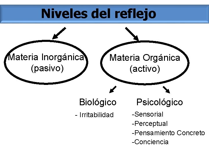 Niveles del reflejo Materia Inorgánica (pasivo) Materia Orgánica (activo) Biológico - Irritabilidad Psicológico -Sensorial