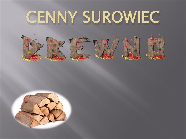 CENNY SUROWIEC 