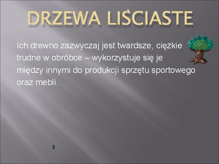 DRZEWA LIŚCIASTE Ich drewno zazwyczaj jest twardsze, ciężkie trudne w obróbce – wykorzystuje się