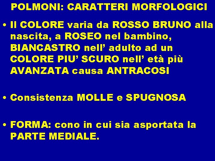 POLMONI: CARATTERI MORFOLOGICI • Il COLORE varia da ROSSO BRUNO alla nascita, a ROSEO