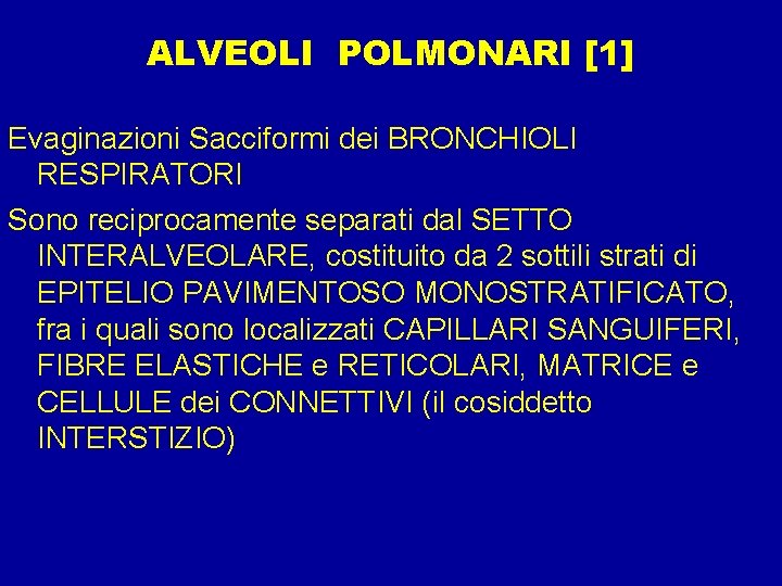 ALVEOLI POLMONARI [1] Evaginazioni Sacciformi dei BRONCHIOLI RESPIRATORI Sono reciprocamente separati dal SETTO INTERALVEOLARE,