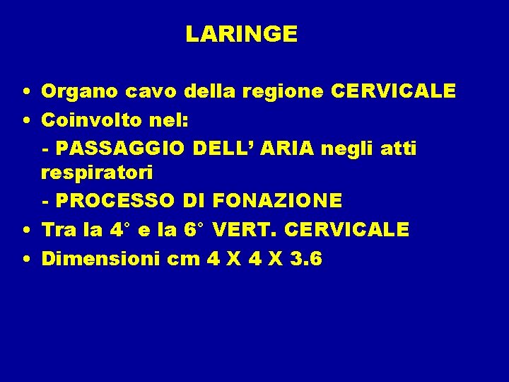 LARINGE • Organo cavo della regione CERVICALE • Coinvolto nel: - PASSAGGIO DELL’ ARIA