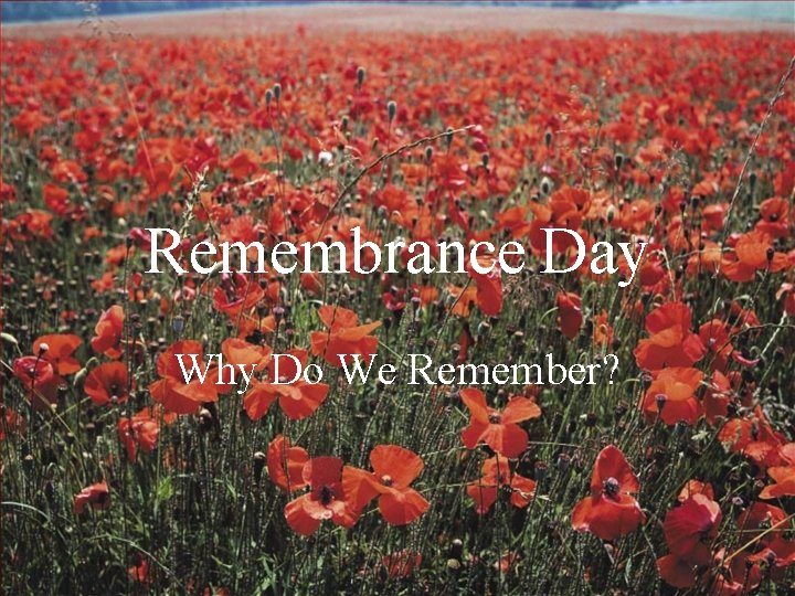 Remembrance Day Why Do We Remember? 