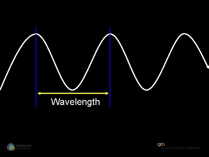 Wavelength 