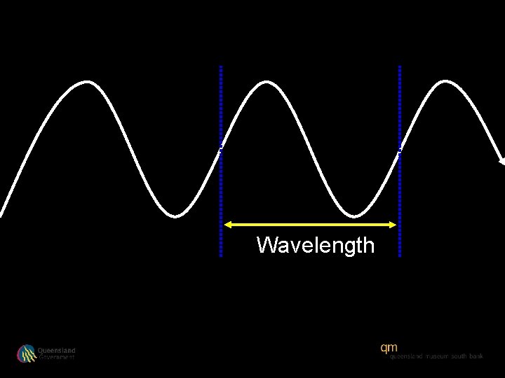 Wavelength 
