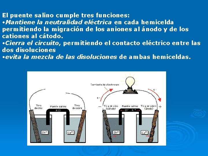 El puente salino cumple tres funciones: • Mantiene la neutralidad eléctrica en cada hemicelda