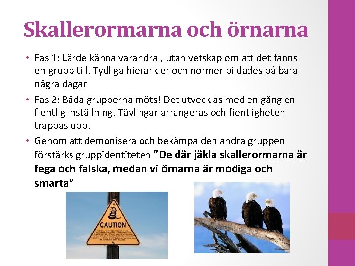 Skallerormarna och örnarna • Fas 1: Lärde känna varandra , utan vetskap om att