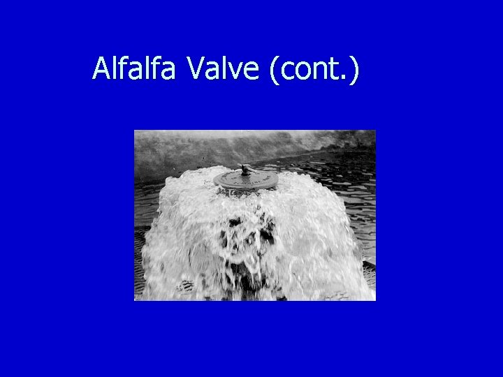 Alfalfa Valve (cont. ) 