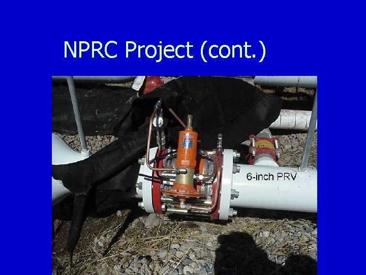 NPRC Project (cont. ) 