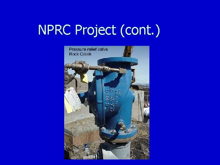 NPRC Project (cont. ) 