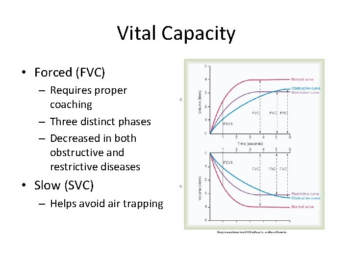 Vital Capacity • Forced (FVC) – Requires proper coaching – Three distinct phases –