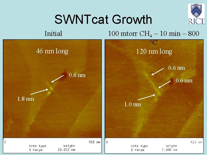 SWNTcat Growth Initial 100 mtorr CH 4 – 10 min – 800 o. C