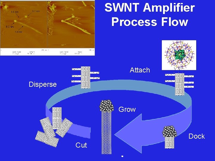 SWNT Amplifier Process Flow Attach Disperse Grow Dock Cut 