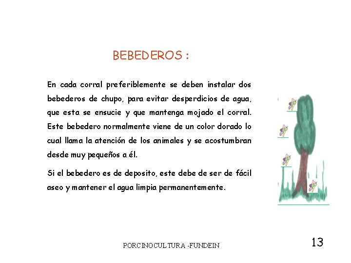 BEBEDEROS : En cada corral preferiblemente se deben instalar dos bebederos de chupo, para