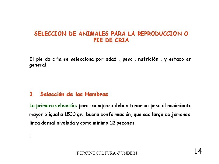 SELECCION DE ANIMALES PARA LA REPRODUCCION O PIE DE CRIA El pie de cría