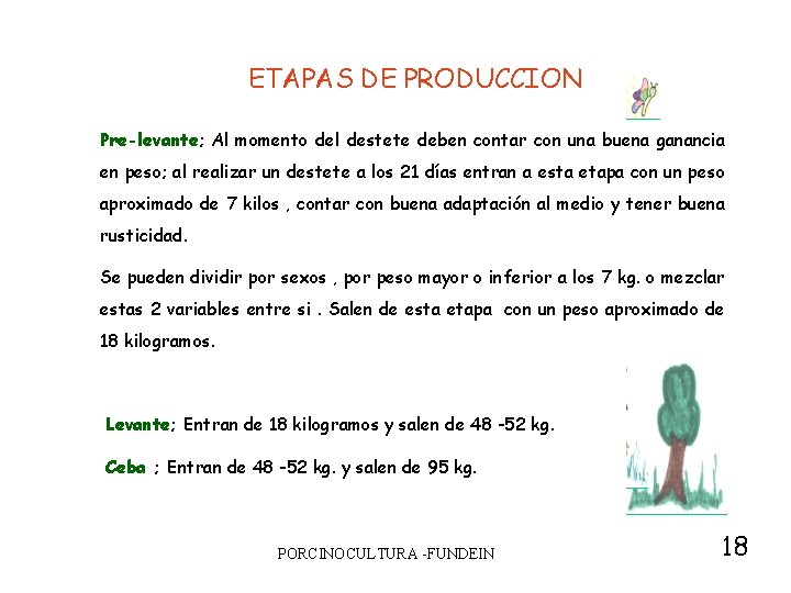 ETAPAS DE PRODUCCION Pre-levante; Al momento del destete deben contar con una buena ganancia