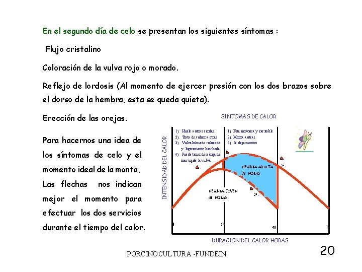 En el segundo día de celo se presentan los siguientes síntomas : Flujo cristalino