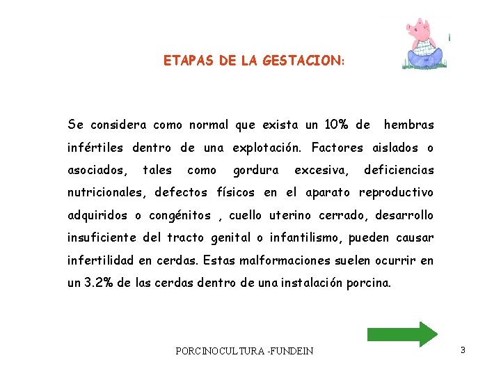 ETAPAS DE LA GESTACION: Se considera como normal que exista un 10% de hembras