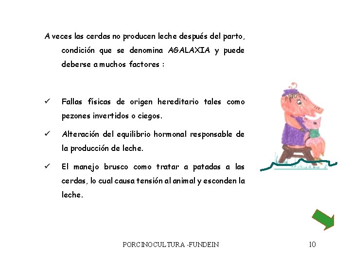 A veces las cerdas no producen leche después del parto, condición que se denomina