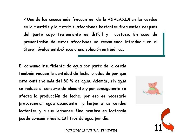 üUna de las causas más frecuentes de la AGALAXIA en las cerdas es la