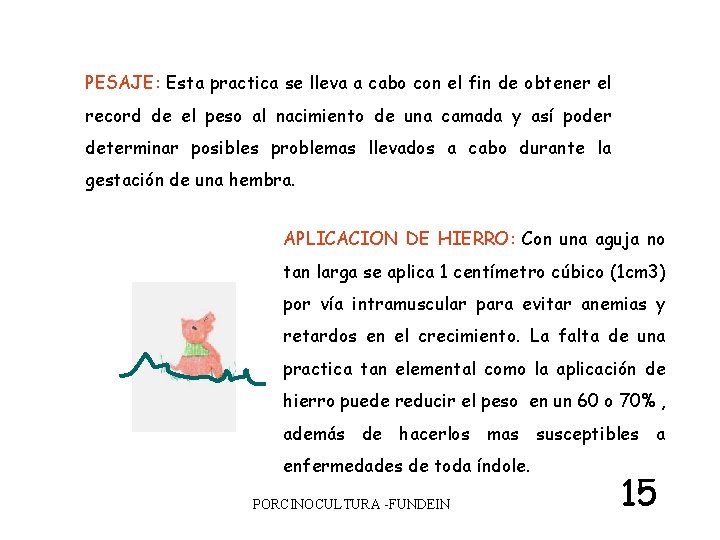 PESAJE: Esta practica se lleva a cabo con el fin de obtener el record