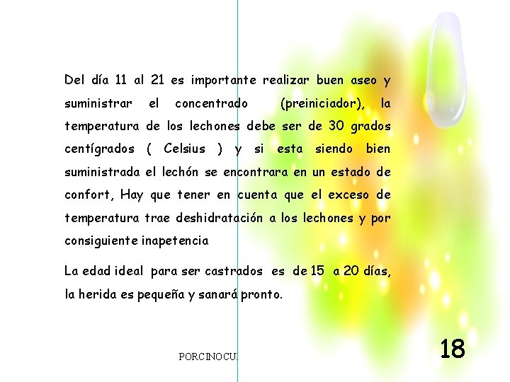 Del día 11 al 21 es importante realizar buen aseo y suministrar el concentrado