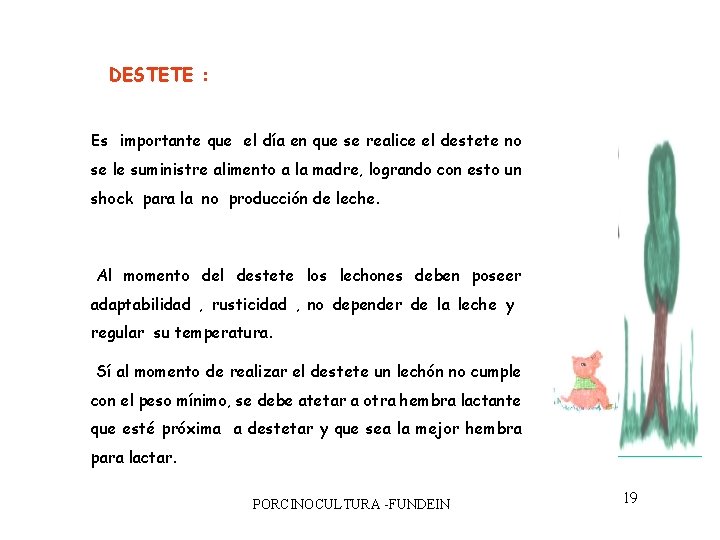 DESTETE : Es importante que el día en que se realice el destete no