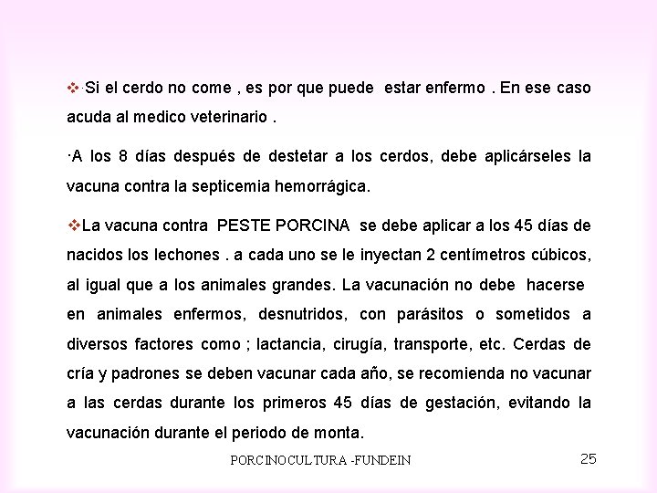 v·Si el cerdo no come , es por que puede estar enfermo. En ese