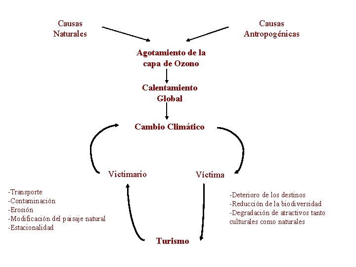 Causas Naturales Causas Antropogénicas Agotamiento de la capa de Ozono Calentamiento Global Cambio Climático