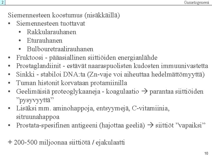 Gametogeneesi 2 Siemennesteen koostumus (nisäkkäillä) • Siemennesteen tuottavat • Rakkularauhanen • Eturauhanen • Bulbouretraalirauhanen Gametogeneesi 2 Siemennesteen koostumus (nisäkkäillä) • Siemennesteen tuottavat • Rakkularauhanen • Eturauhanen • Bulbouretraalirauhanen