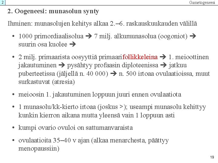 Gametogeneesi 2 2. Oogeneesi: munasolun synty Ihminen: munasolujen kehitys alkaa 2. – 6. raskauskuukauden Gametogeneesi 2 2. Oogeneesi: munasolun synty Ihminen: munasolujen kehitys alkaa 2. – 6. raskauskuukauden