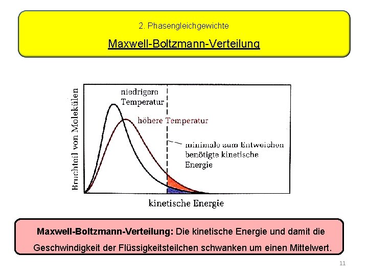2. Phasengleichgewichte Maxwell-Boltzmann-Verteilung: Die kinetische Energie und damit die Geschwindigkeit der Flüssigkeitsteilchen schwanken um