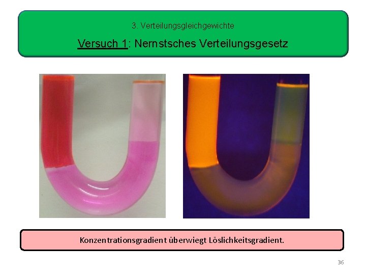 3. Verteilungsgleichgewichte Versuch 1: Nernstsches Verteilungsgesetz Konzentrationsgradient überwiegt Löslichkeitsgradient. 36 