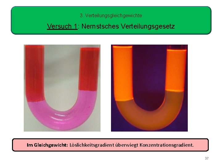 3. Verteilungsgleichgewichte Versuch 1: Nernstsches Verteilungsgesetz Im Gleichgewicht: Löslichkeitsgradient überwiegt Konzentrationsgradient. 37 