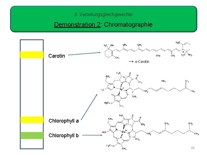 3. Verteilungsgleichgewichte Demonstration 2: Chromatographie Carotin → α-Carotin Chlorophyll a Chlorophyll b 43 