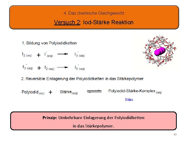 4. Das chemische Gleichgewicht Versuch 2: Iod-Stärke Reaktion Prinzip: Umkehrbare Einlagerung der Polyiodidketten in