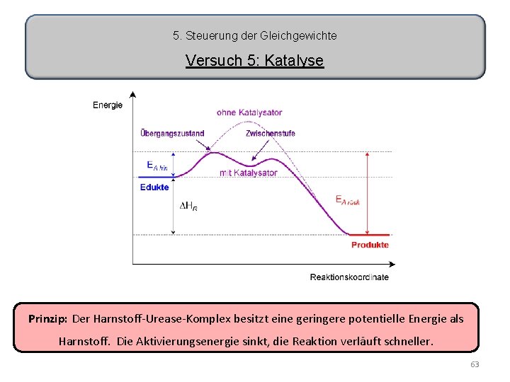 5. Steuerung der Gleichgewichte Versuch 5: Katalyse Prinzip: Der Harnstoff-Urease-Komplex besitzt eine geringere potentielle