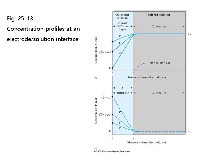 Fig. 25 -13 Concentration profiles at an electrode/solution interface. Fig. 25 -13 Concentration profiles at an electrode/solution interface.