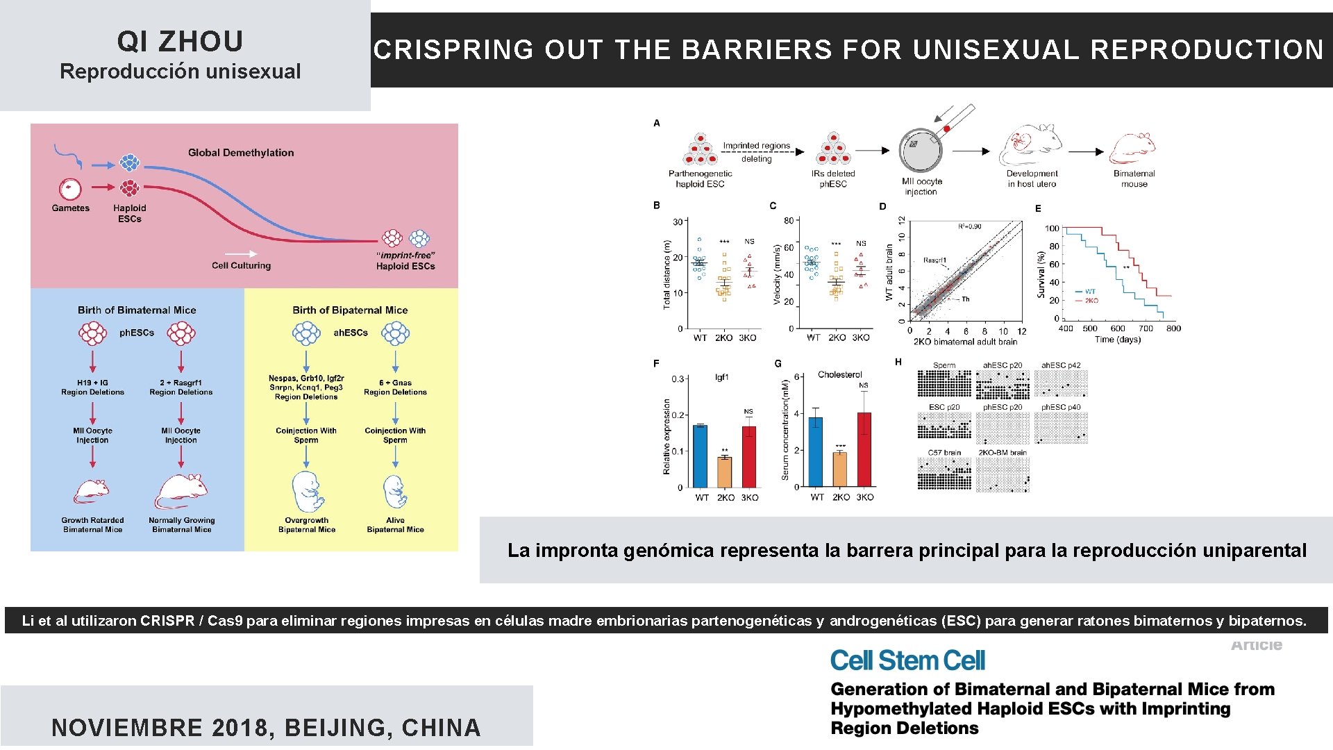 QI ZHOU Reproducción unisexual CRISPRING OUT THE BARRIERS FOR UNISEXUAL REPRODUCTION La impronta genómica