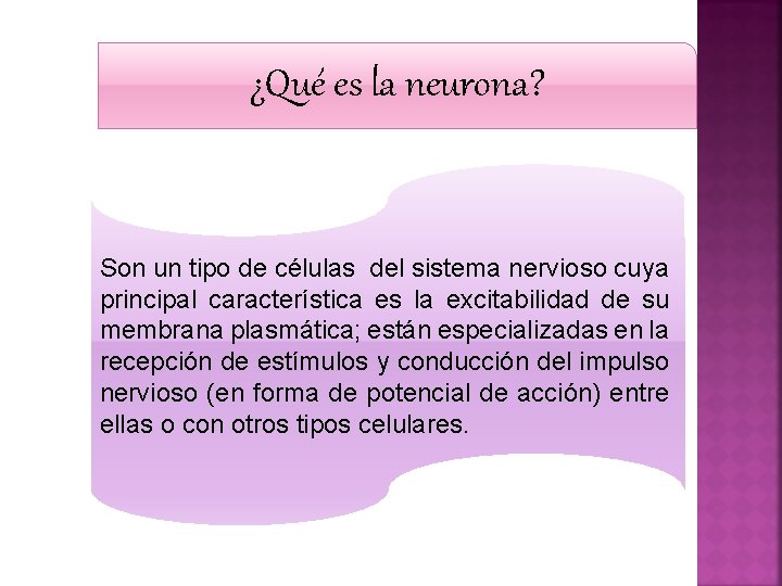 ¿Qué es la neurona? Son un tipo de células del sistema nervioso cuya principal