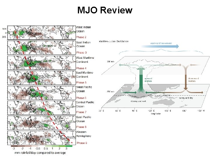 MJO Review 