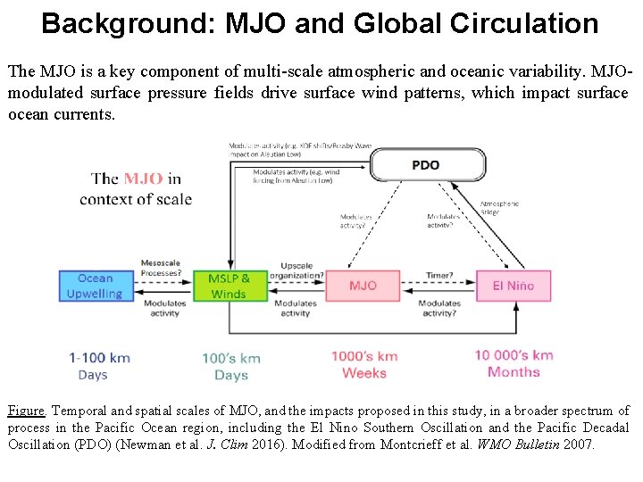 Background: MJO and Global Circulation The MJO is a key component of multi-scale atmospheric