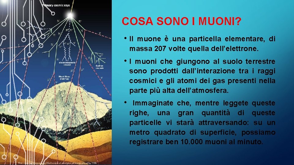 COSA SONO I MUONI? • Il muone è una particella elementare, di massa 207 COSA SONO I MUONI? • Il muone è una particella elementare, di massa 207