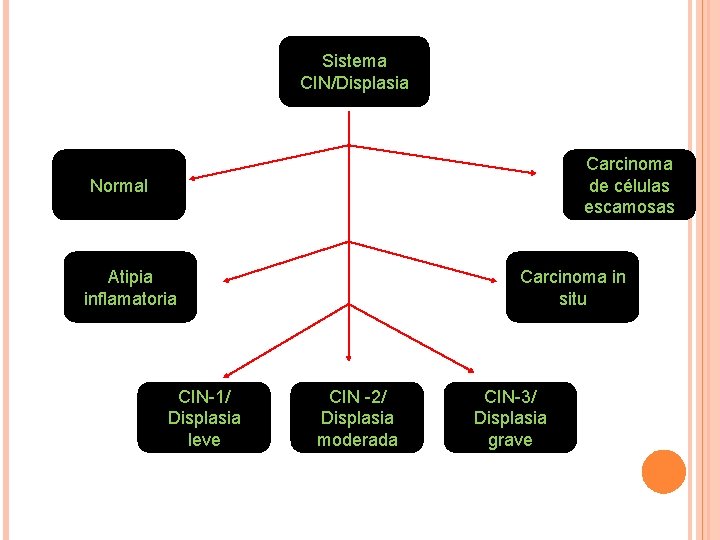 Sistema CIN/Displasia Carcinoma de células escamosas Normal Atipia inflamatoria CIN-1/ Displasia leve Carcinoma in