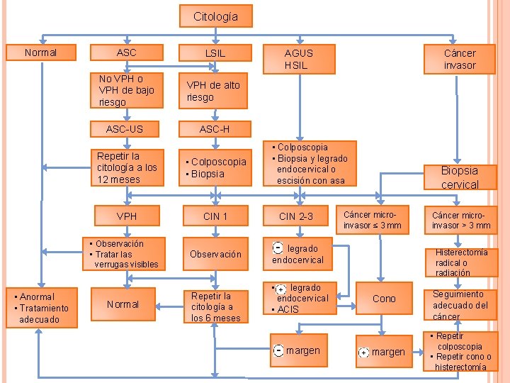 Citología Normal ASC LSIL No VPH de bajo riesgo VPH de alto riesgo ASC-US