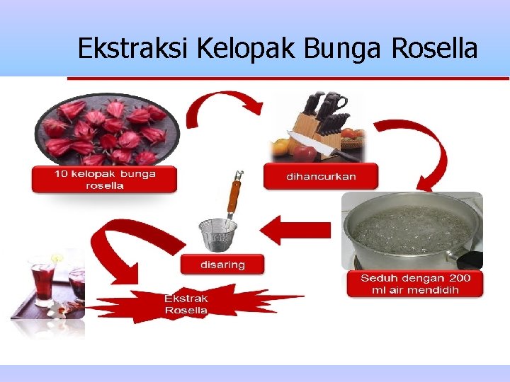 Ekstraksi Kelopak Bunga Rosella Ekstraksi Kelopak Bunga Rosella