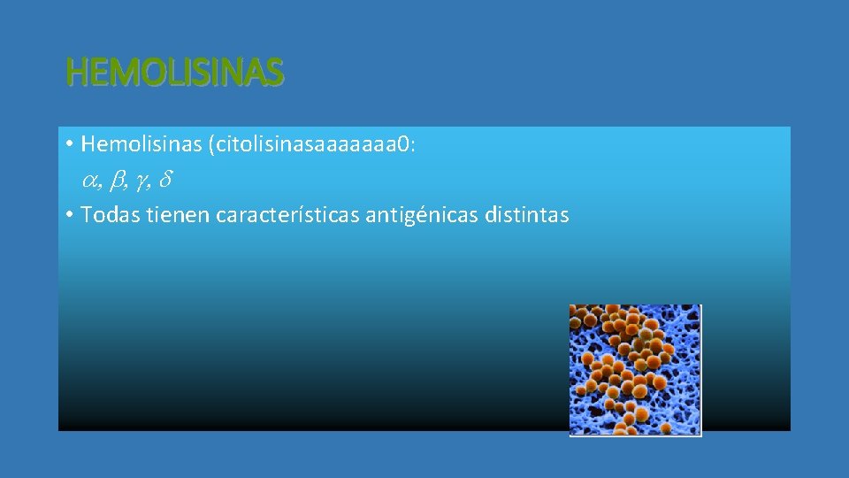 HEMOLISINAS • Hemolisinas (citolisinasaaaaaaa 0: a, b, g, d • Todas tienen características antigénicas