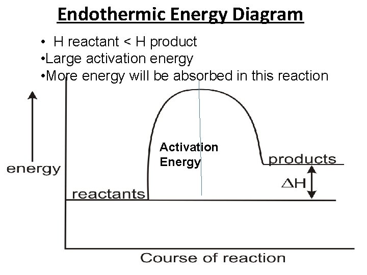 Endothermic Energy Diagram • H reactant < H product • Large activation energy •
