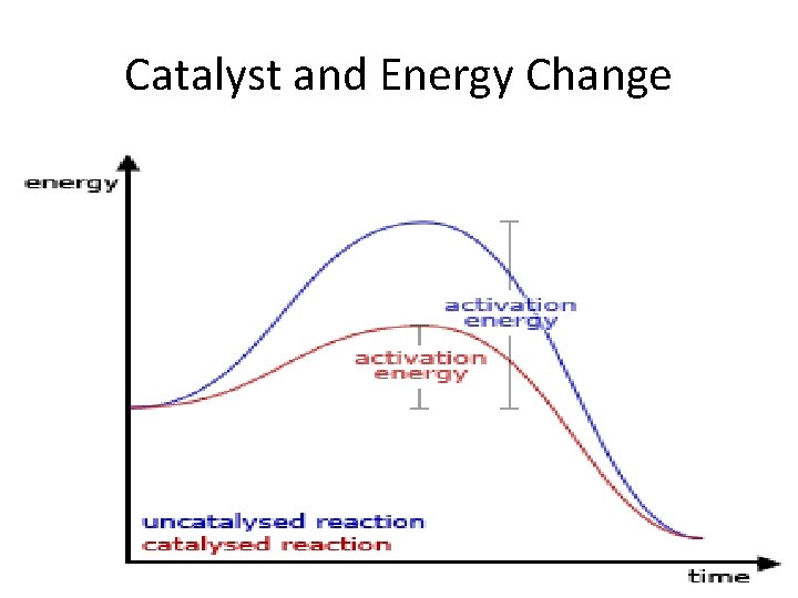 Catalyst and Energy Change 