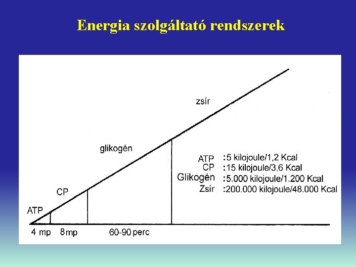 Energia szolgáltató rendszerek 